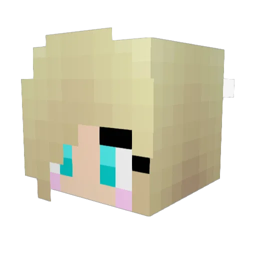 Jujubug626 Minecraft avatar head, 3D render