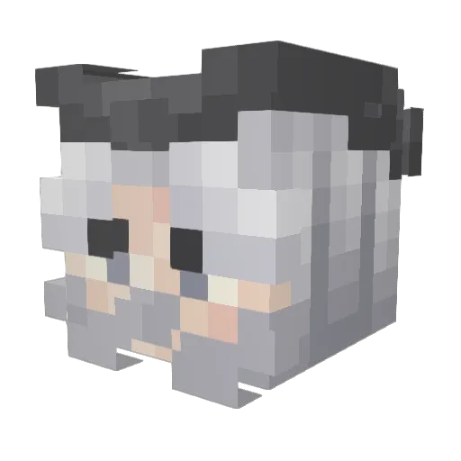 JukkenTV Minecraft avatar head, 3D render