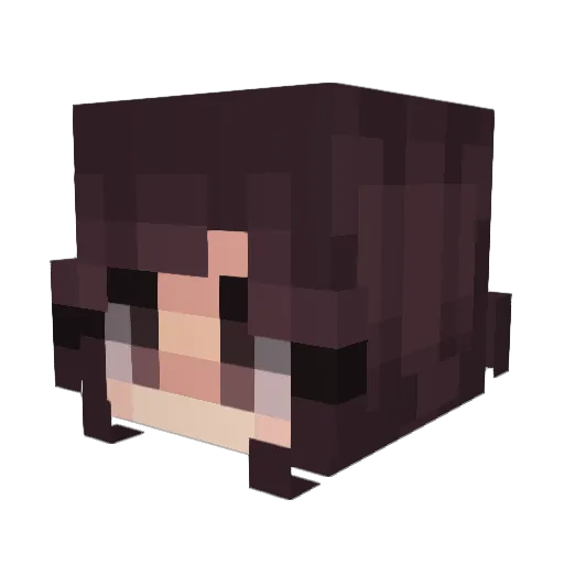 Jukoly Minecraft avatar head, 3D render