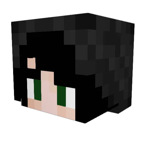JulY777 Minecraft avatar head, 3D render