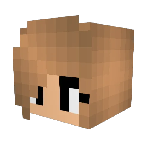 Jula250 Minecraft avatar head, 3D render