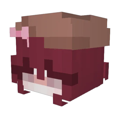 JulaF88 Minecraft avatar head, 3D render