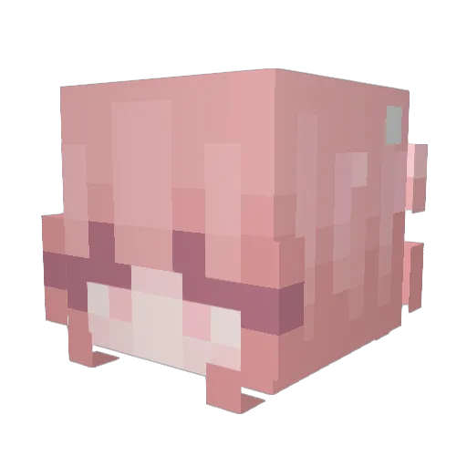 JulaJulka Minecraft avatar head, 3D render