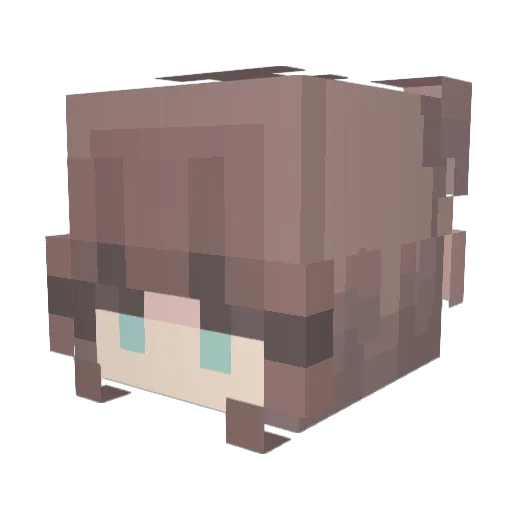 JulaSzpula Minecraft avatar head, 3D render