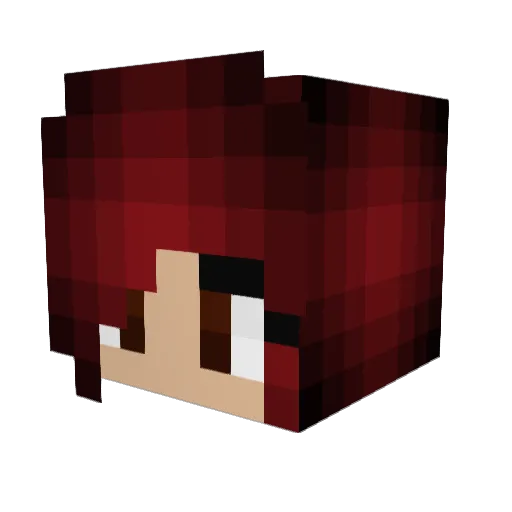 Julehasey Minecraft avatar head, 3D render