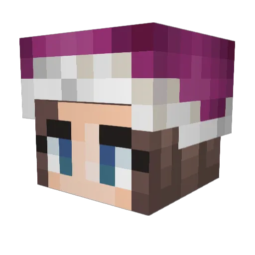 Juleptulip Minecraft avatar head, 3D render