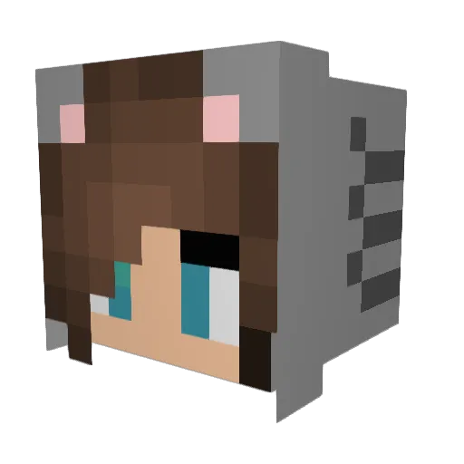Jules05_26_05 Minecraft avatar head, 3D render