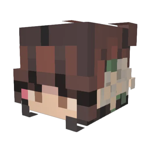 Jules204 Minecraft avatar head, 3D render