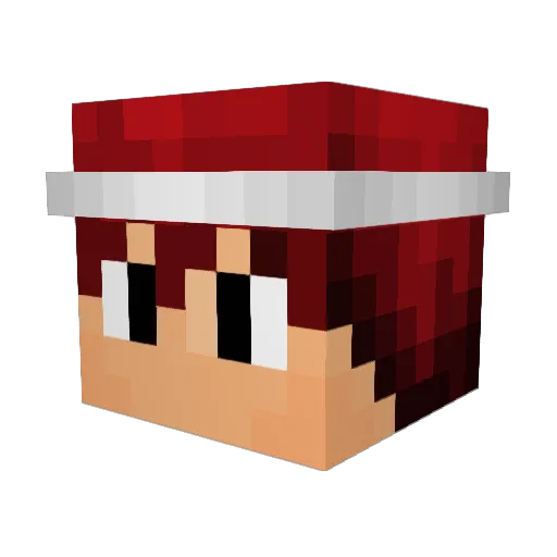 Jules_____1 Minecraft avatar head, 3D render