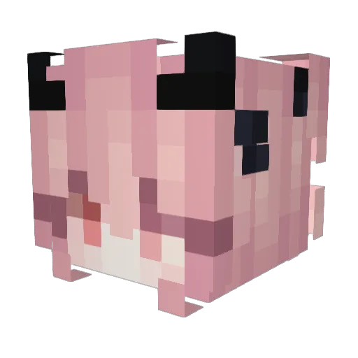 Julesaeran Minecraft avatar head, 3D render