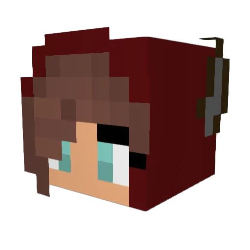 Julesmh515 Minecraft avatar head, 3D render