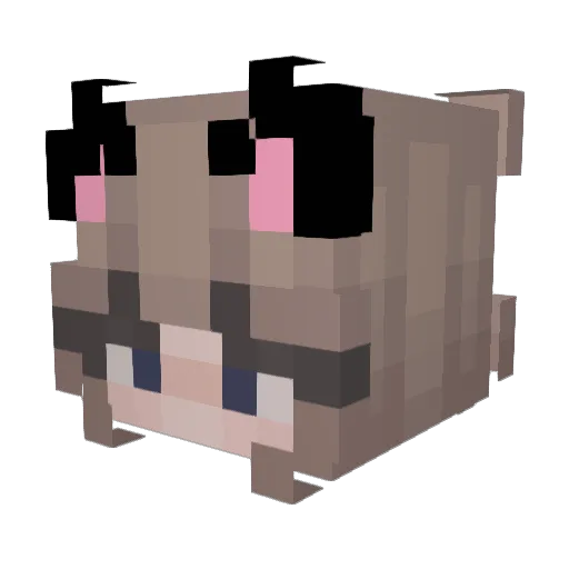 Julesr07 Minecraft avatar head, 3D render