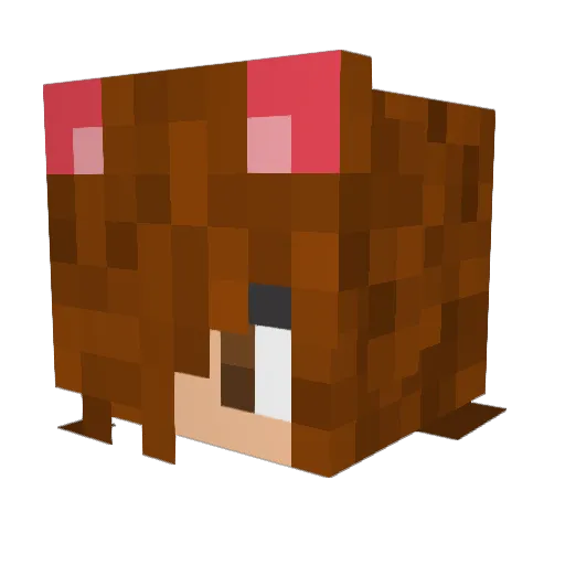 Julestheboss2015 Minecraft avatar head, 3D render