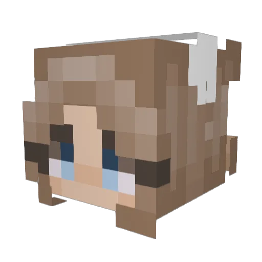 JulezRulezz Minecraft avatar head, 3D render