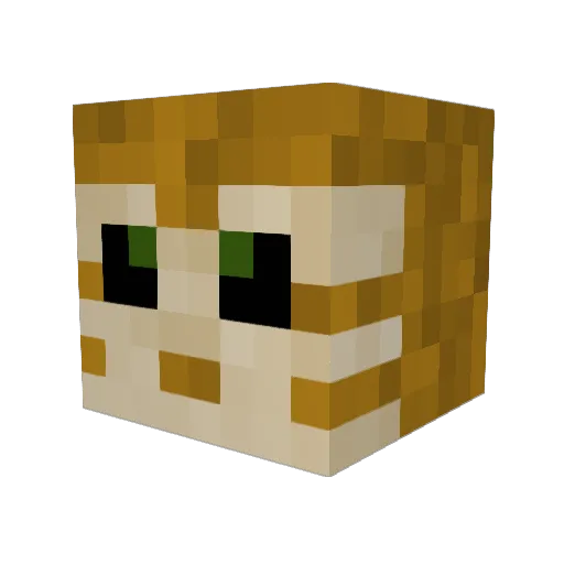 Juli3000 Minecraft avatar head, 3D render