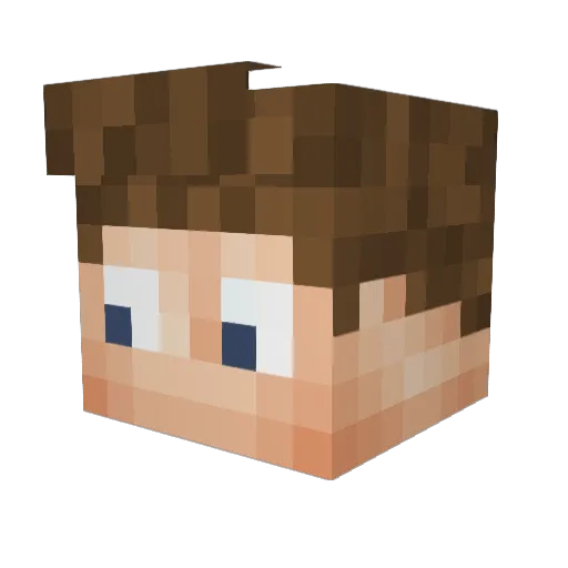 Juli_LP310 Minecraft avatar head, 3D render