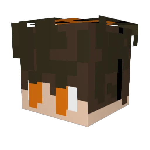 Juli___1 Minecraft avatar head, 3D render