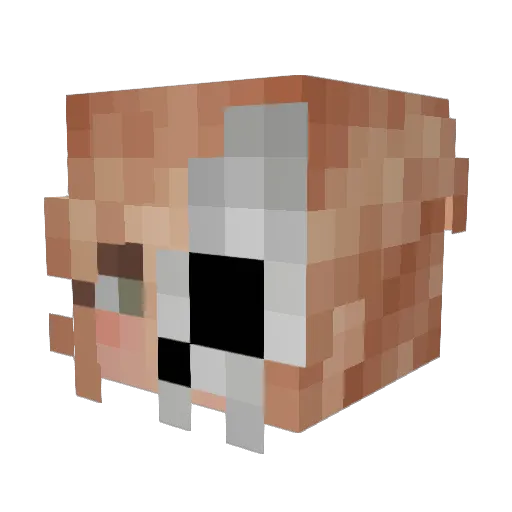 Juli_ette Minecraft avatar head, 3D render