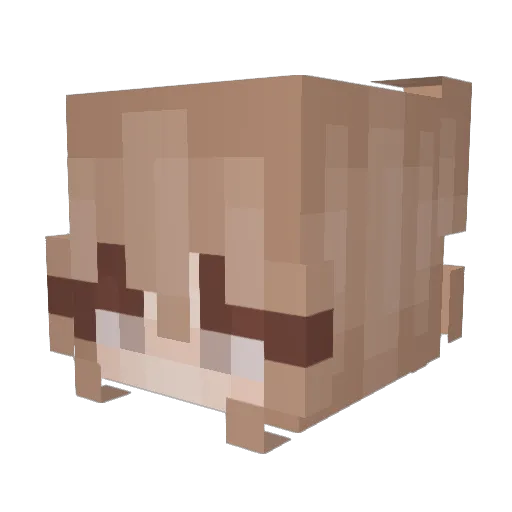 Julia2012 Minecraft avatar head, 3D render