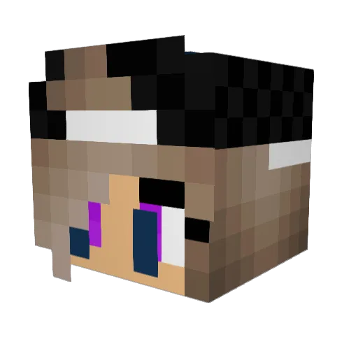 Julia579 Minecraft avatar head, 3D render