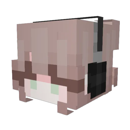 JuliaAnnabella01 Minecraft avatar head, 3D render