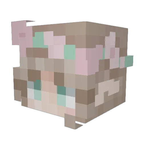 JuliaBalgame Minecraft avatar head, 3D render
