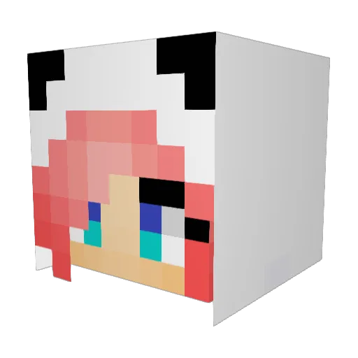 JuliaBraga Minecraft avatar head, 3D render