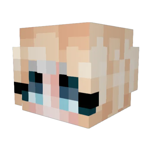 JuliaD1998 Minecraft avatar head, 3D render