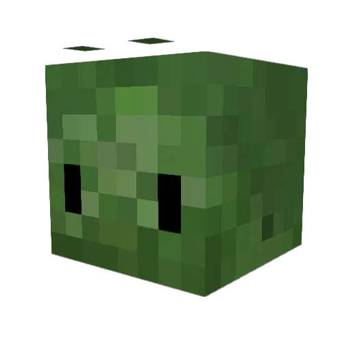 JuliaEatsTheMoon Minecraft avatar head, 3D render