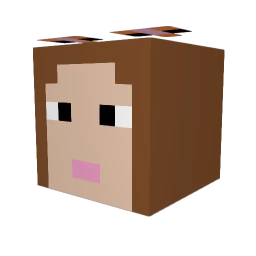 JuliaGe Minecraft avatar head, 3D render