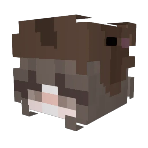 JuliaMo2013 Minecraft avatar head, 3D render