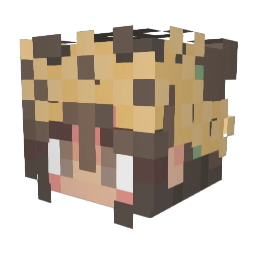 Julia_Coolia Minecraft avatar head, 3D render