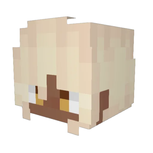 Julia_Rosemary Minecraft avatar head, 3D render
