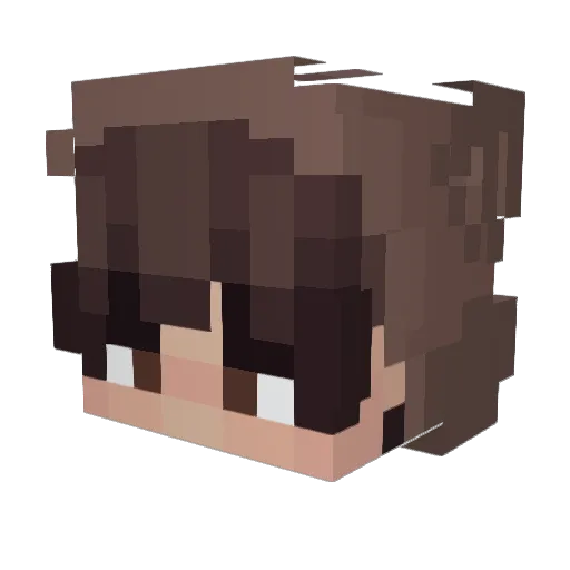 Julia_hp Minecraft avatar head, 3D render