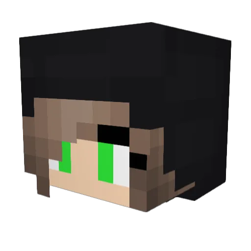 Julia_x Minecraft avatar head, 3D render