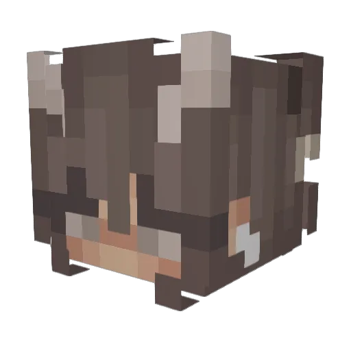 Juliaaaaaaaaaaa Minecraft avatar head, 3D render