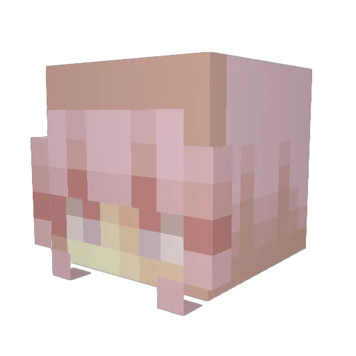 Juliagamer912 Minecraft avatar head, 3D render