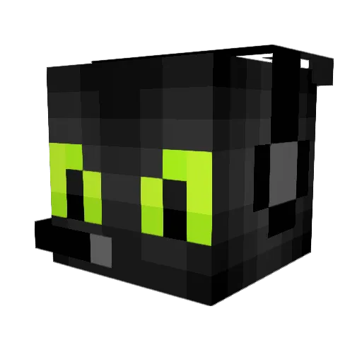 Julian1901 Minecraft avatar head, 3D render