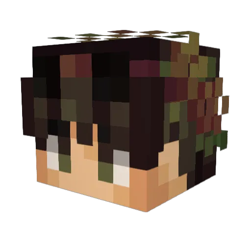 JulianIbrahim Minecraft avatar head, 3D render
