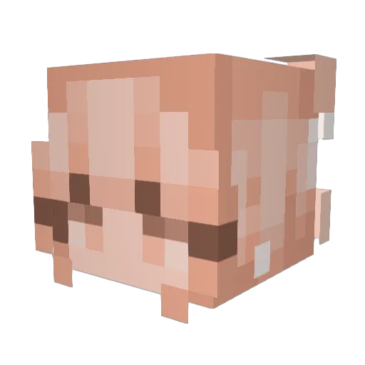 JulianT2016 Minecraft avatar head, 3D render