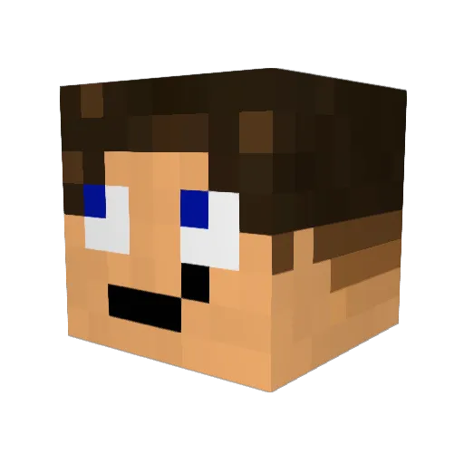 JulianVFL1848 Minecraft avatar head, 3D render