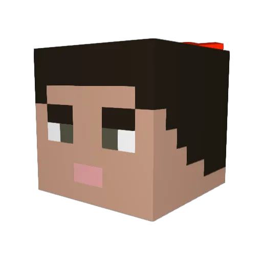 JulianVonHipper Minecraft avatar head, 3D render