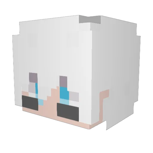 Julian_150 Minecraft avatar head, 3D render