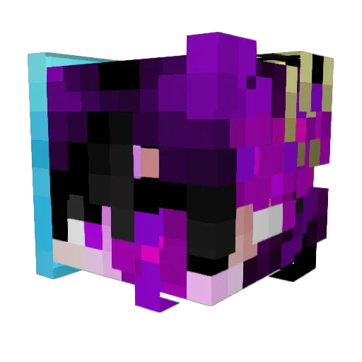 Juliann801 Minecraft avatar head, 3D render