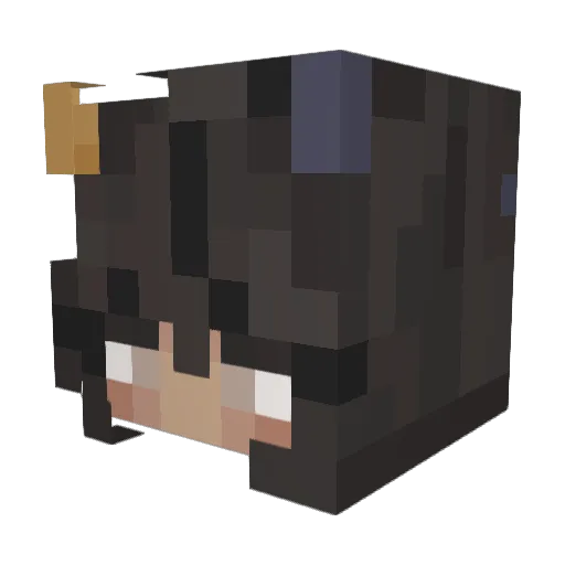 Julianna_Bacon Minecraft avatar head, 3D render