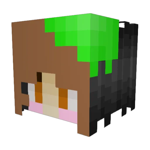 Juliannnnnn Minecraft avatar head, 3D render