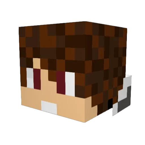 Julianowski Minecraft avatar head, 3D render