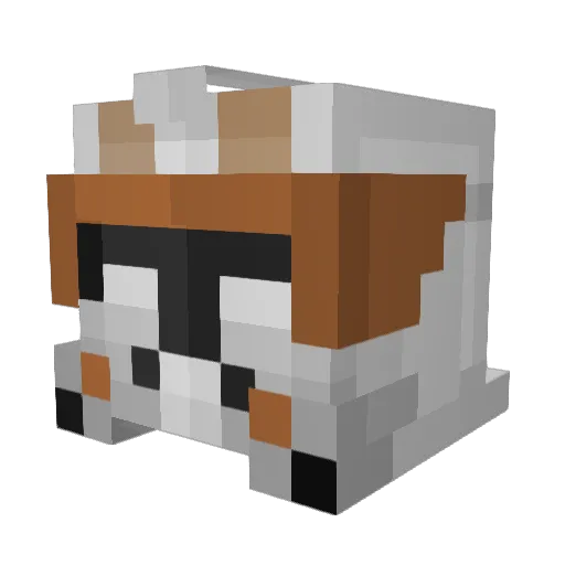 Julianpla13 Minecraft avatar head, 3D render