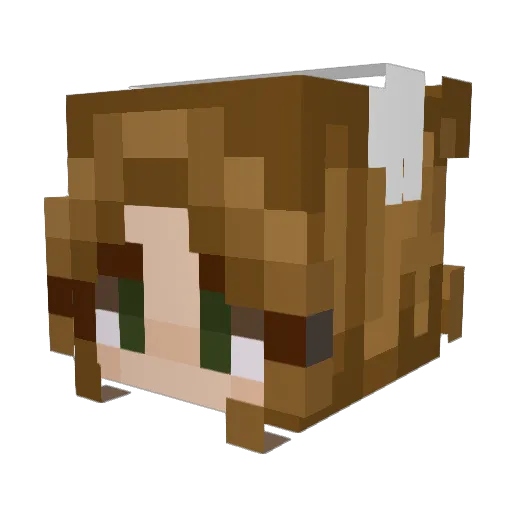 Juliapower3 Minecraft avatar head, 3D render