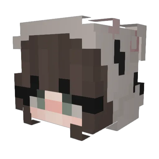 Juliawln Minecraft avatar head, 3D render